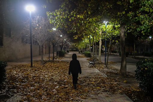 A boy walks alone through a street full of dry leaves and surrounded by trees