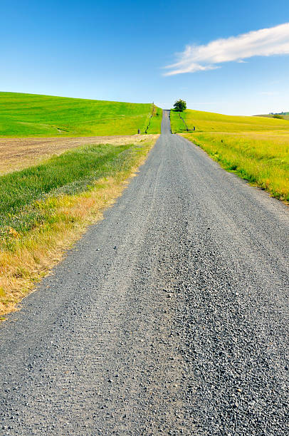 istock Spring Day along Country Lane 161721410