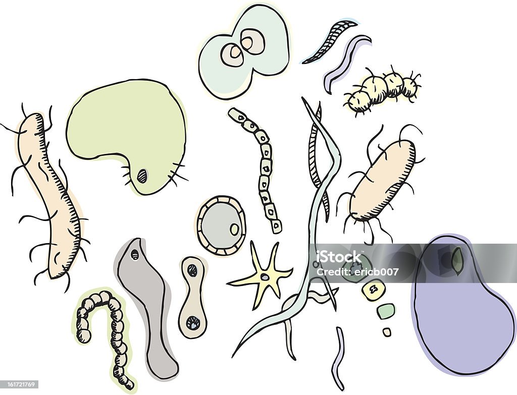 Various Bacterium Set of generic bacteria and one celled organisms. Download includes high resolution JPG with layered EPS. Avatar stock vector