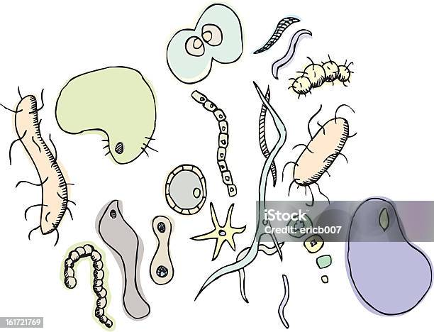 Various Bacterium Stock Illustration - Download Image Now - Avatar, Bacterium, Biological Cell