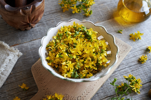 Fresh yellow St. John's wort flowers in a bowl on a table with oil