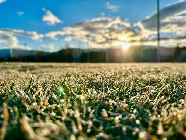 istock Sunrise on a Frosty Grassy Field 1617237591