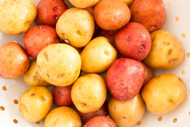 Washed Baby Potatoes in White Colander Washed Golden and Red Baby Potatoes in White Colander gold potato stock pictures, royalty-free photos & images