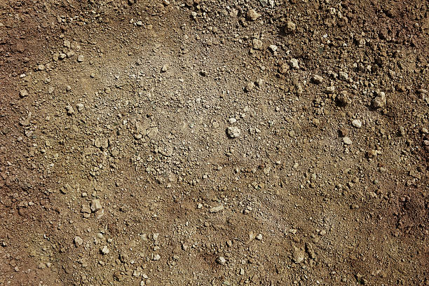 Photograph of brown colored dirt. Small clumps of dirt are sprinkled randomly over a layer of dry dirt and sand.