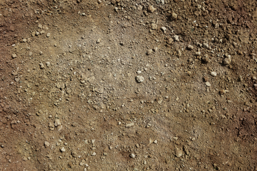 Photograph of brown colored dirt. Small clumps of dirt are sprinkled randomly over a layer of dry dirt and sand.
