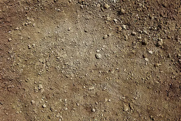 Photo of Background of earth and dirt