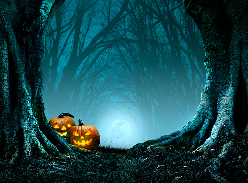 Two jack o'lanterns sit at the base of an old tree as they stand guard to the entry of a spooky forest on Halloween night