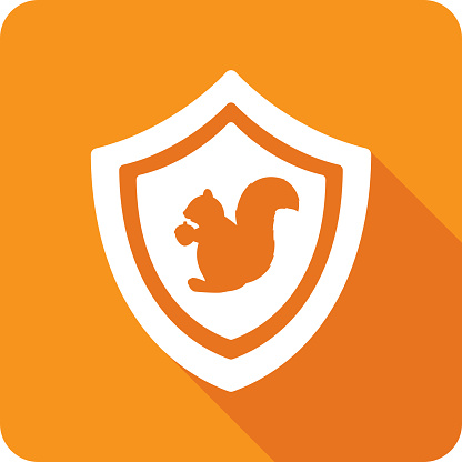Vector illustration of a shield with squirrel icon against an orange background in flat style.