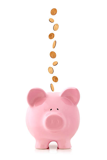 Piggy Bank with Falling Coins Golden coins falling into a pink piggy bank, isolated on white.  US dollar coins piggy bank photos stock pictures, royalty-free photos & images
