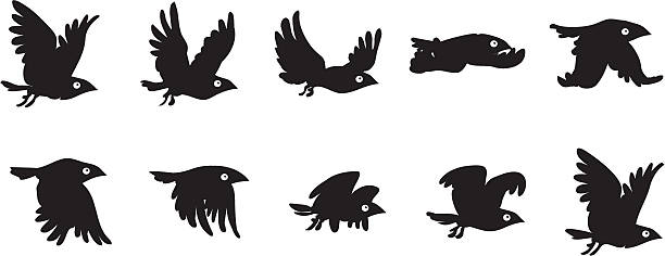 летающий птица последовательность - series stock illustrations