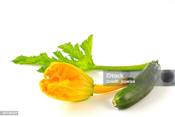 Zucchina Di Frutta E Fiori - Fotografie stock e altre immagini di Bocciolo - Bocciolo, Capolino, Colore verde