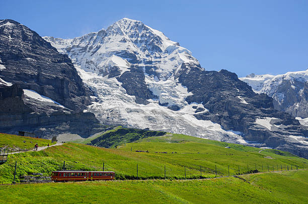 Red train passes by white mountains of Jungfrau, Switzerland A train passes by the mountains at the Kleine Scheidegg, Jungfrau region, Switzerland jungfrau stock pictures, royalty-free photos & images