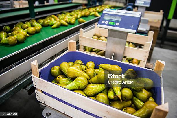 Fresh Pears Stock Photo - Download Image Now - Freight Transportation, Agriculture, Food