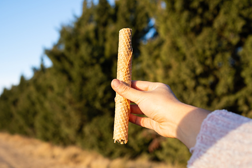 Woman's hand holding a cubanito filled with dulce de leche. Photo taken outdoors with a green background and copy space.