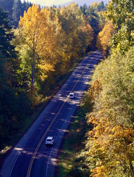 istock Traveling Up The Autumn Road 1617481909