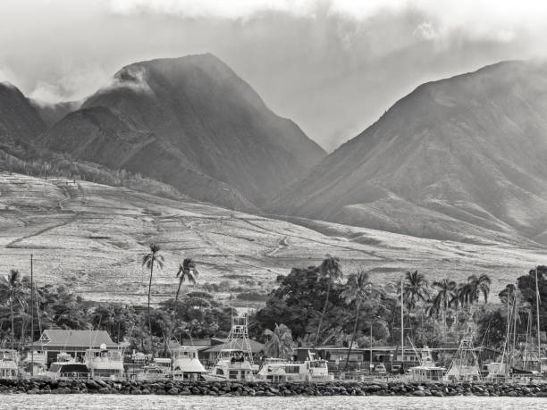 ハワイのマウイ島 - lahaina ストックフォトと画像