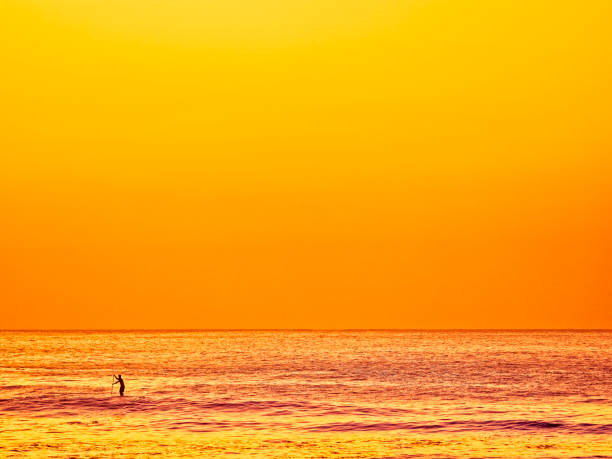 Paddle boarding  on Maui