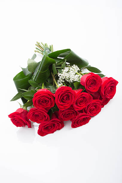 dozen Red Roses Picture of a dozen Red Roses on white background with copy space dozen roses stock pictures, royalty-free photos & images
