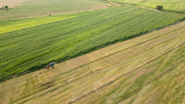 istock Tractor stands along the mowed field 1617552326