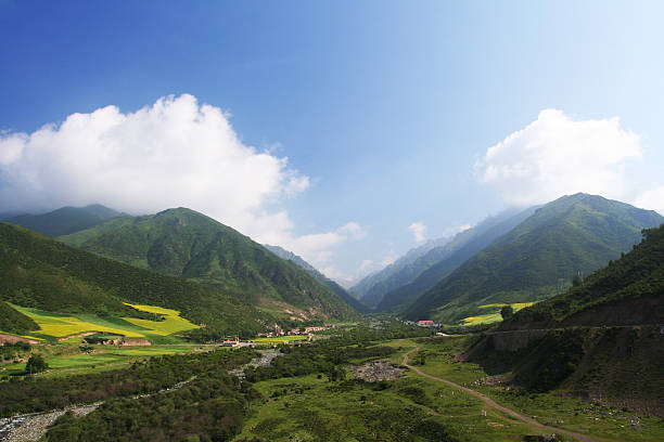 Virid highland valley is under blue sky and white clouds.