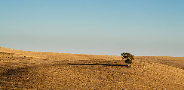 Tuscan landscape stock photo
