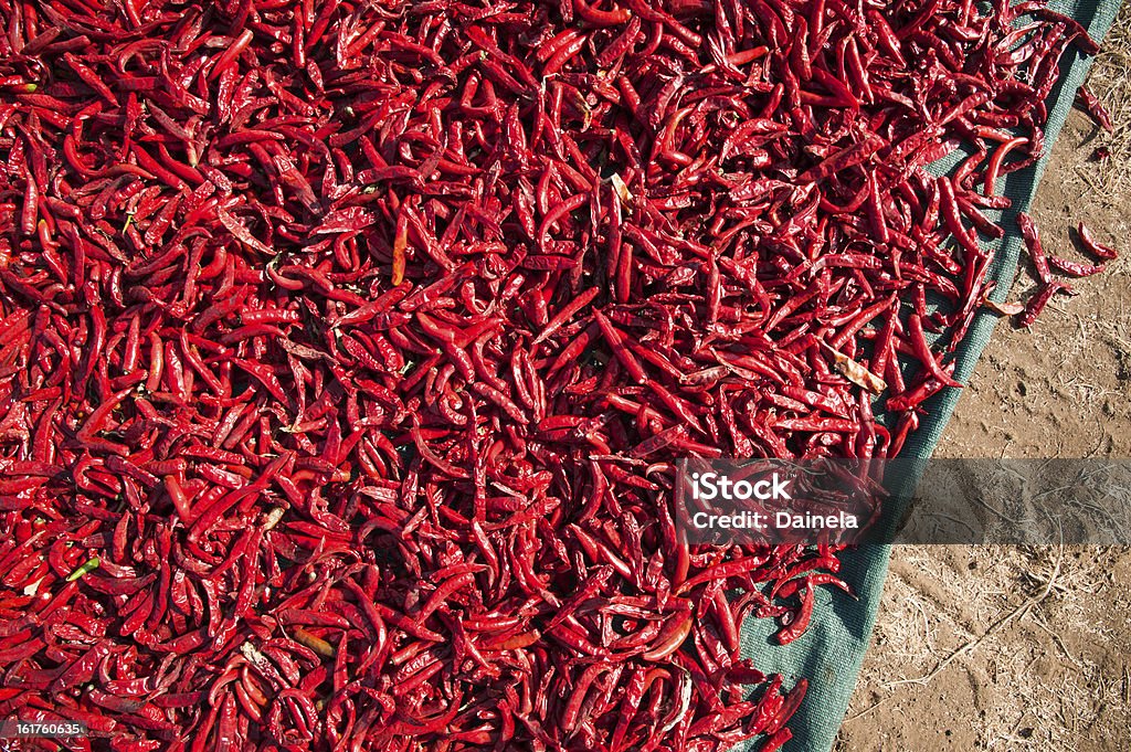 Красный перец чили - Стоковые фото Без людей роялти-фри