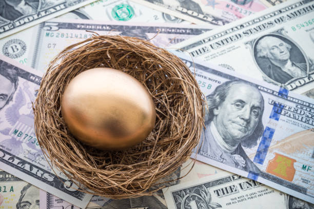 Bright golden egg in nest on US dollar bill cash banknotes background. Bright golden egg in nest on US dollar bill cash banknotes background. Rich, wealth, successful from stock dividend in stock market investment. Business, financial, pension, investment and passive income concept. nest egg stock pictures, royalty-free photos & images