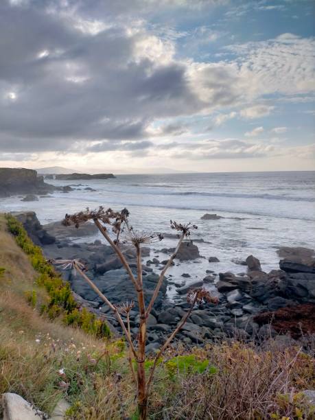 istock a view of the Cantabrian coast 1617624424