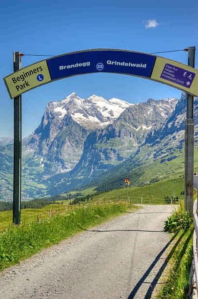 указатель в швейцарских гор регионе бернский альпы - mountain switzerland scuol mountain peak стоковые фото и изображения