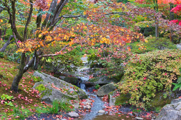 istock Autumn Japanese Garden 1617632077