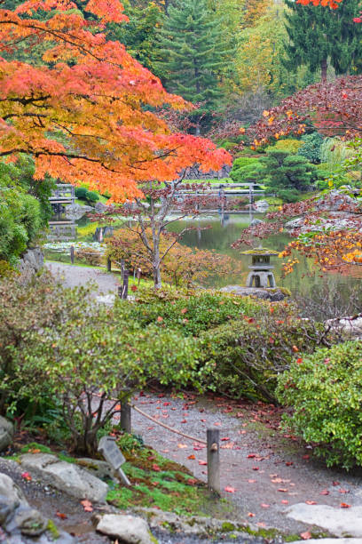 istock Autumn Japanese Garden 1617632080