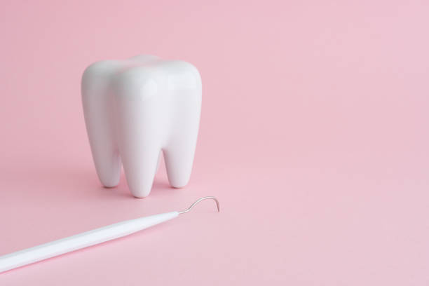 White healthy tooth model and dental pick explorer probe on pink background.