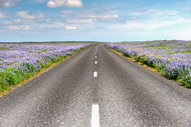 istock Tarmac road, Southern Iceland 161764724