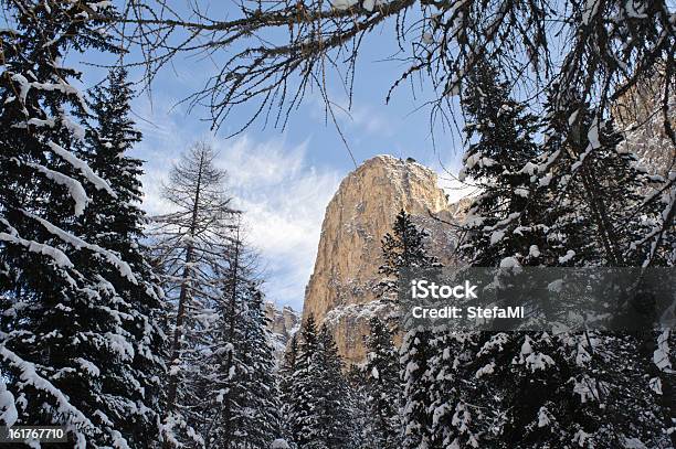 Inverno Vista Das Montanhas Dolomitas De Uma Floresta - Fotografias de stock e mais imagens de Alpes Calcários do Sul