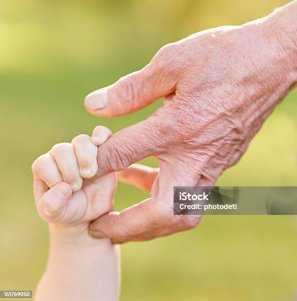 Hands Old Man And A Kid Stock Photo - Download Image Now - Baby - Human Age, Grandfather, Senior Men