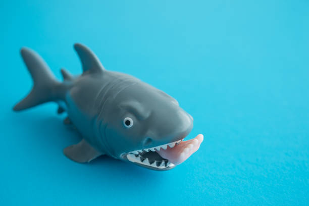 istock Cute toy of shark attack swimmer on blue background copy space. 1617692091