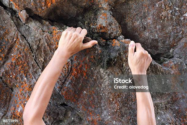 Arrampicata Su Roccia - Fotografie stock e altre immagini di Adulto - Adulto, Allenamento, Alpinismo