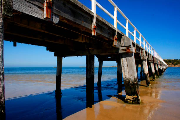 istock Causeway to the Island 1617754347