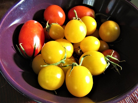 Mini tomatoes. Close-up.