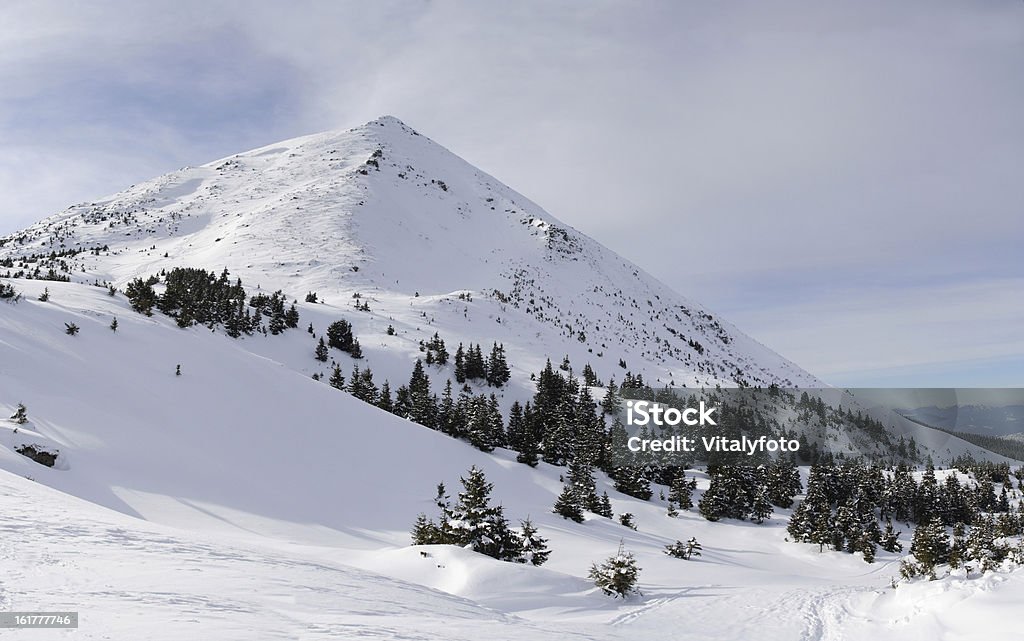 Carpathians 겨울 - 로열티 프리 0명 스톡 사진
