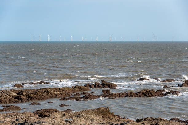 istock On a clear day, the reefs and waves by the seaside 1617818471