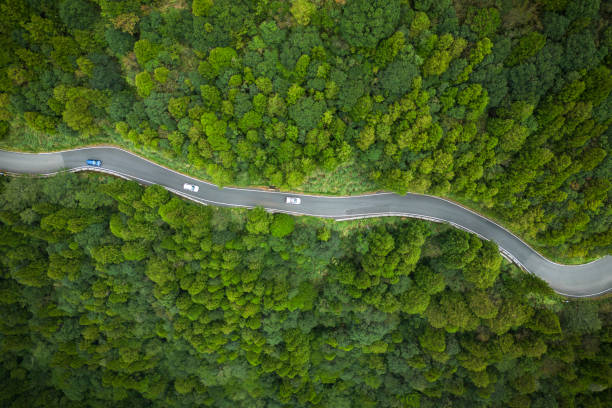 istock Vehicles moving on a road through a mountain forest 1617822505