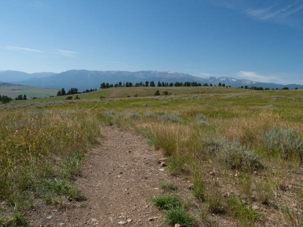 fußweg durch die weide im ländlichen montana mit den beartooth mountains im hintergrund - saddleback mountain stock-fotos und bilder