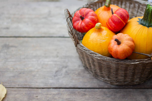 A close-up view of several small orange pumpkins, perfect for autumn, Halloween, and Thanksgiving seasonal decorations and themes.