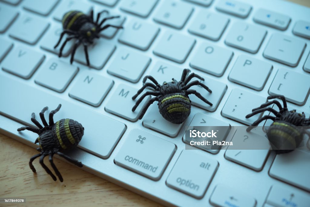 Keyboard Insect Danger Spider Bug On White Keyboard On Wooden Table Background Stock ...