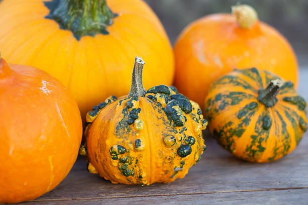 istock Various pumpkins. Pumpkins on a wooden table 1617852297