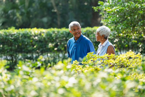 A senior African-American couple, in their 70s, taking a walk in the park on a sunny day. They are side by side, smiling, looking at each other, and conversing. The main focus is on the man.