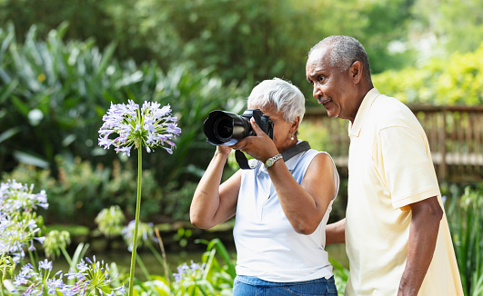 A senior African-American woman, in her 70s, pursuing her photography hobby in retirement. She and her husband are standing in the park, surrounded by lush foliage. He is watching as she photographs a pretty flower.