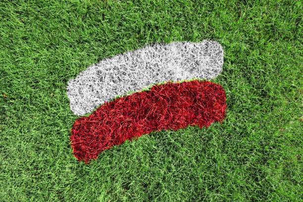 istock Poland flag colors painted on grass field 1617872764