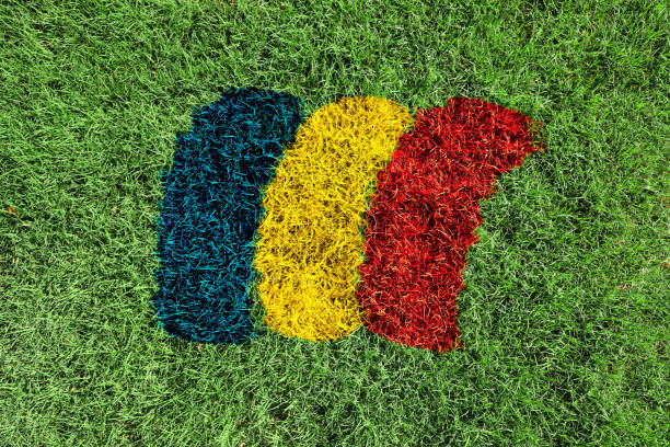 Close up of Romania flag colors red yellow and blue painted on grass field